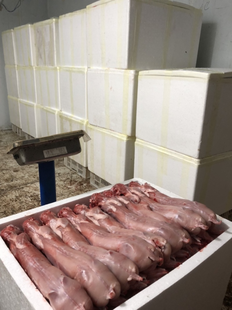 自营农场优质保鲜兔肉、冷冻兔肉，质优价廉