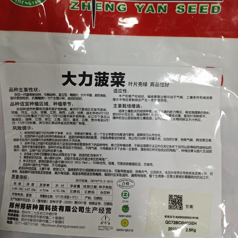5斤装杂交一代菠菜新品种大力直立型菠菜种子椭圆叶菠菜种籽