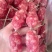 腊肠展会地摊福中王黄埔腊肠腊肉滋百鲜中山黄埔腊肠香肠