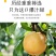 【爆甜】山东正宗秋月梨新鲜脆甜薄皮超甜大果梨子水果批发整