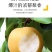 【爆甜】山东正宗秋月梨新鲜脆甜薄皮超甜大果梨子水果批发整