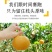 【爆甜】山东正宗秋月梨新鲜脆甜薄皮超甜大果梨子水果批发整