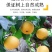 【爆甜】山东正宗秋月梨新鲜脆甜薄皮超甜大果梨子水果批发整