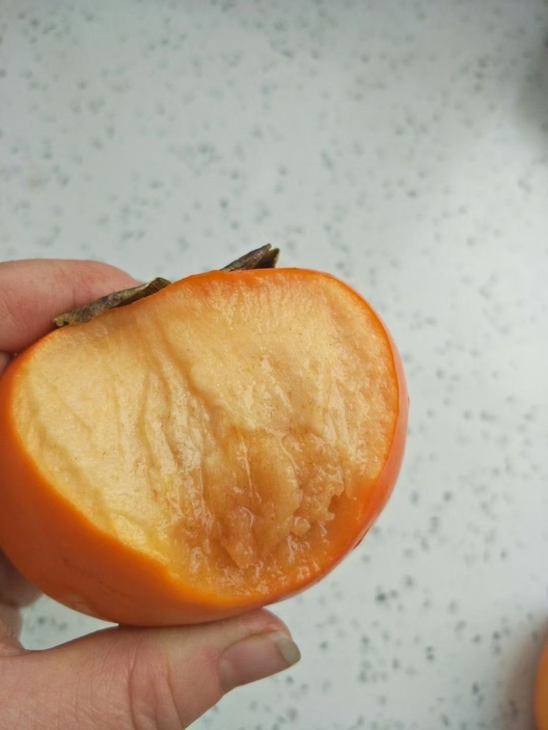 阳丰脆甜柿子