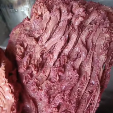 马肉
