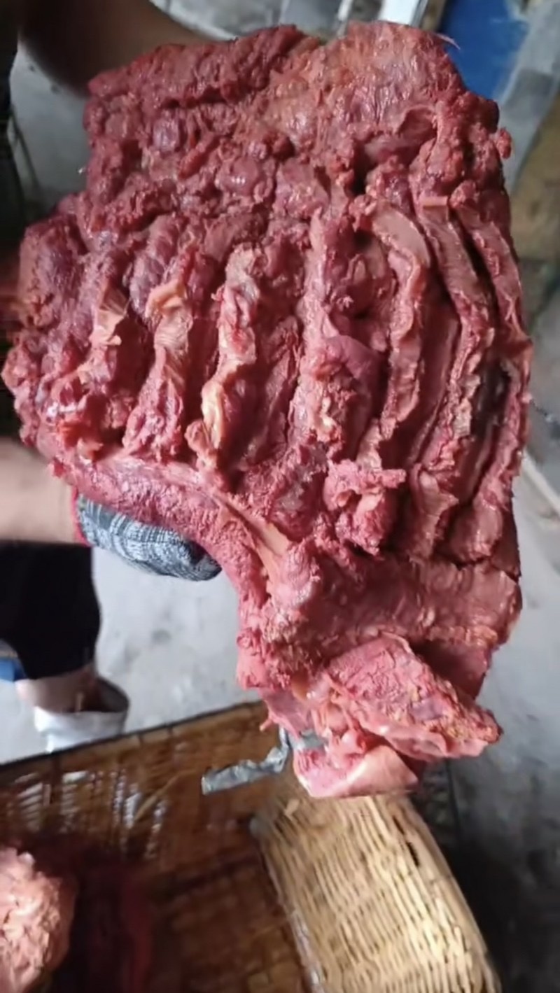 马肉
