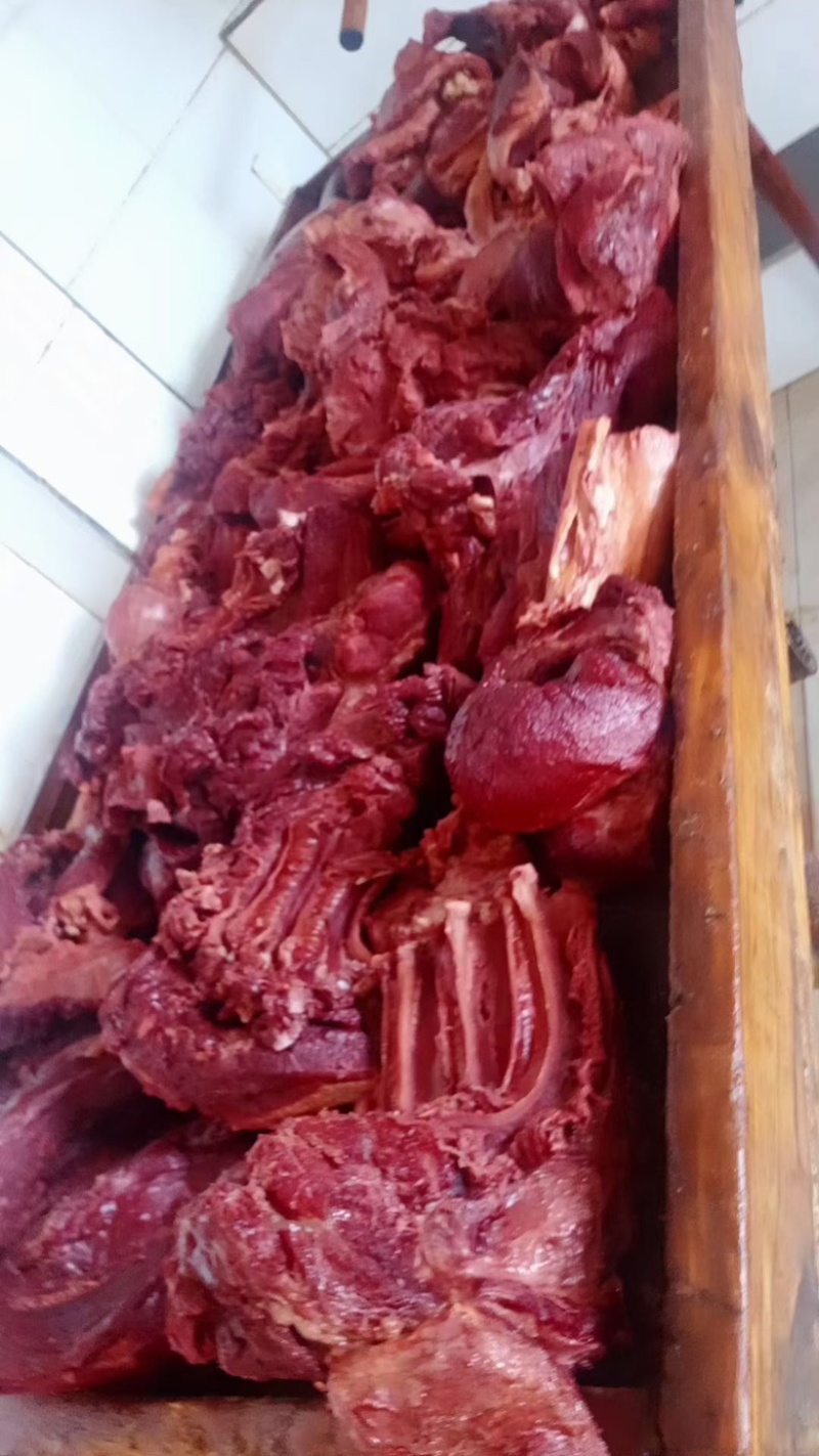 马肉
