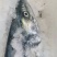 鲅鱼