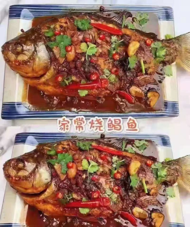 红鲳鱼，新货到家，3条，4条，5条都有现货，一手货源