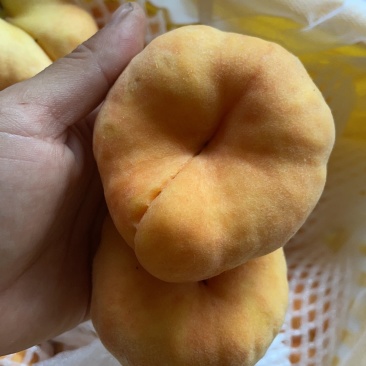 毛蟠桃：70-75的果子