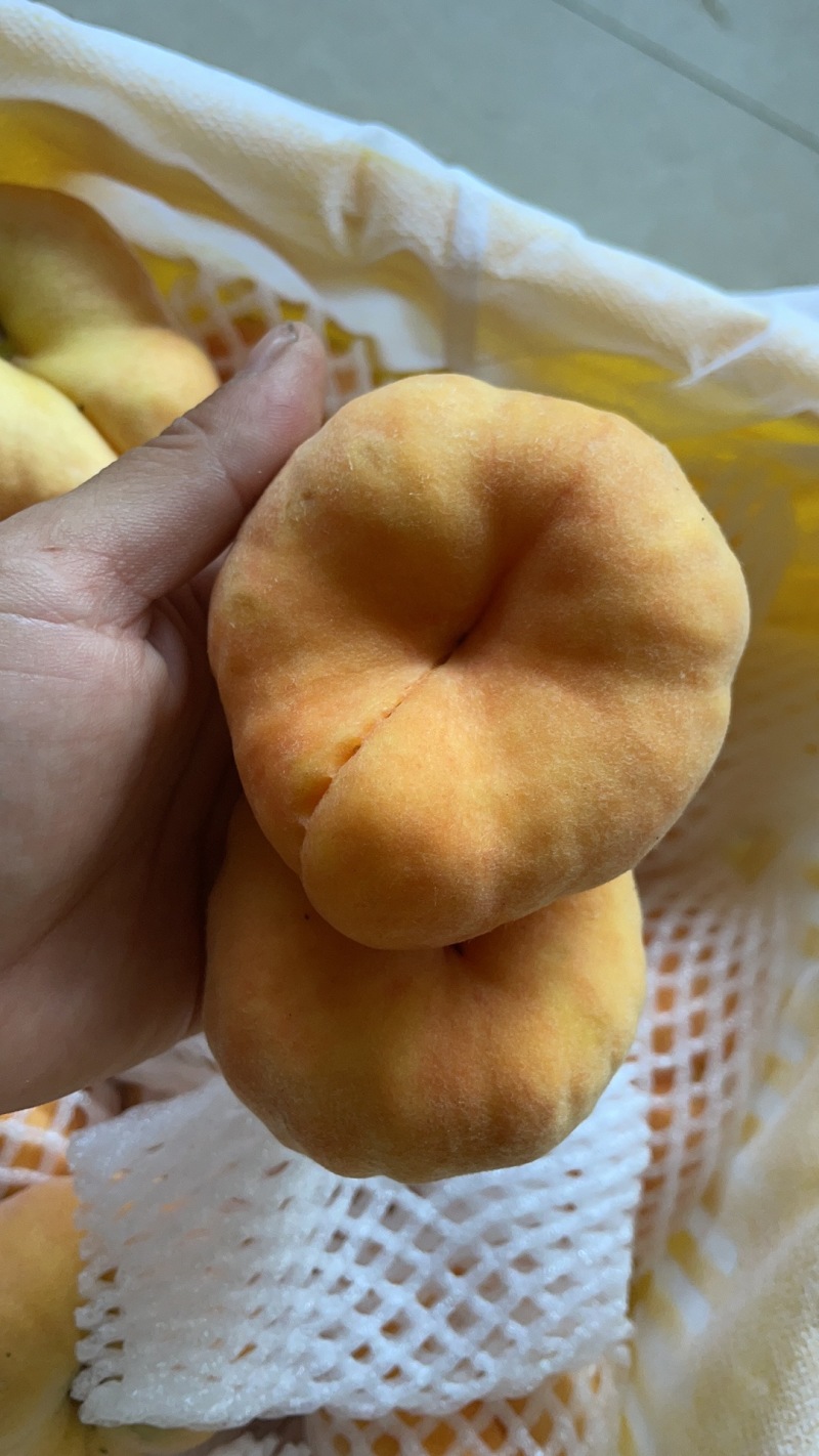 毛蟠桃：70-75的果子