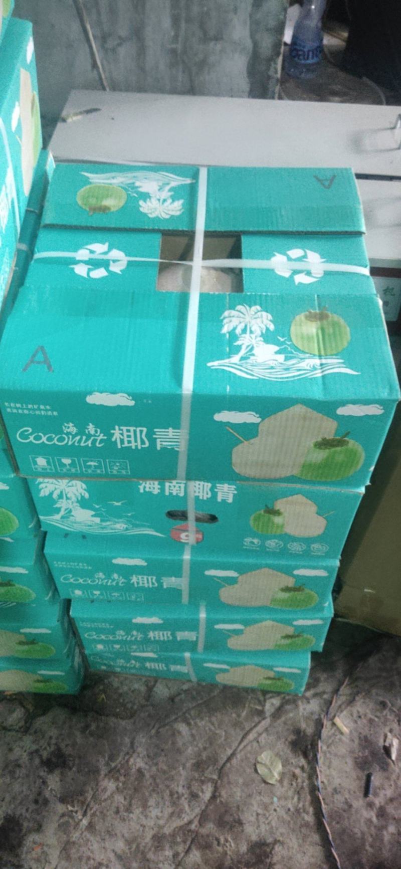 海南新鲜椰青