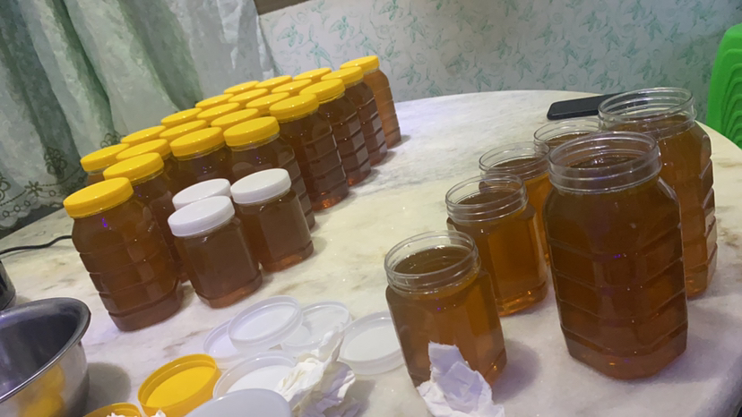 展示多种蜂蜜瓶装产品,颜色和质地各异 不同种类的蜂蜜展示