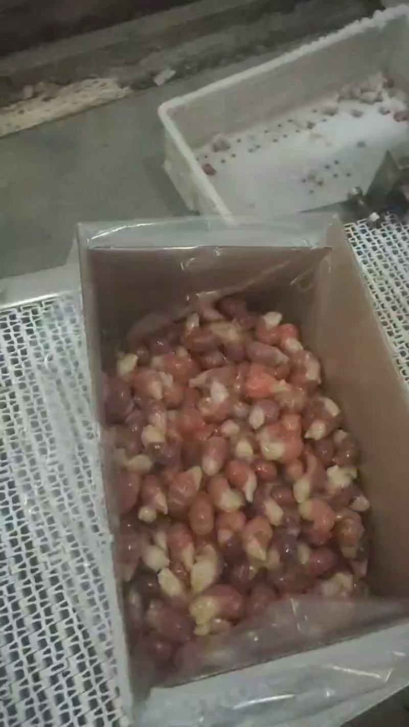 大特100粒下料4.5斤9斤装