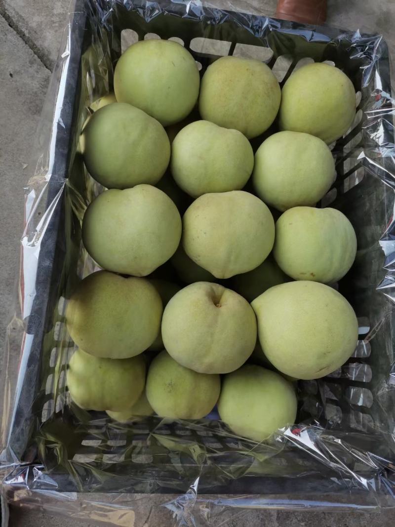 青桃.福桃.蜜桃