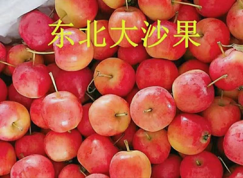 东北海棠果糖心沙果新鲜采摘原汁原味酸甜爽口包邮