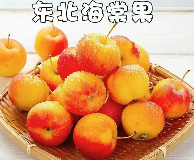 东北海棠果糖心沙果新鲜采摘原汁原味酸甜爽口包邮