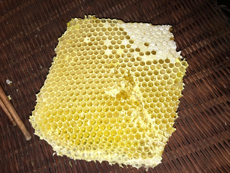蜂蜜结晶特写