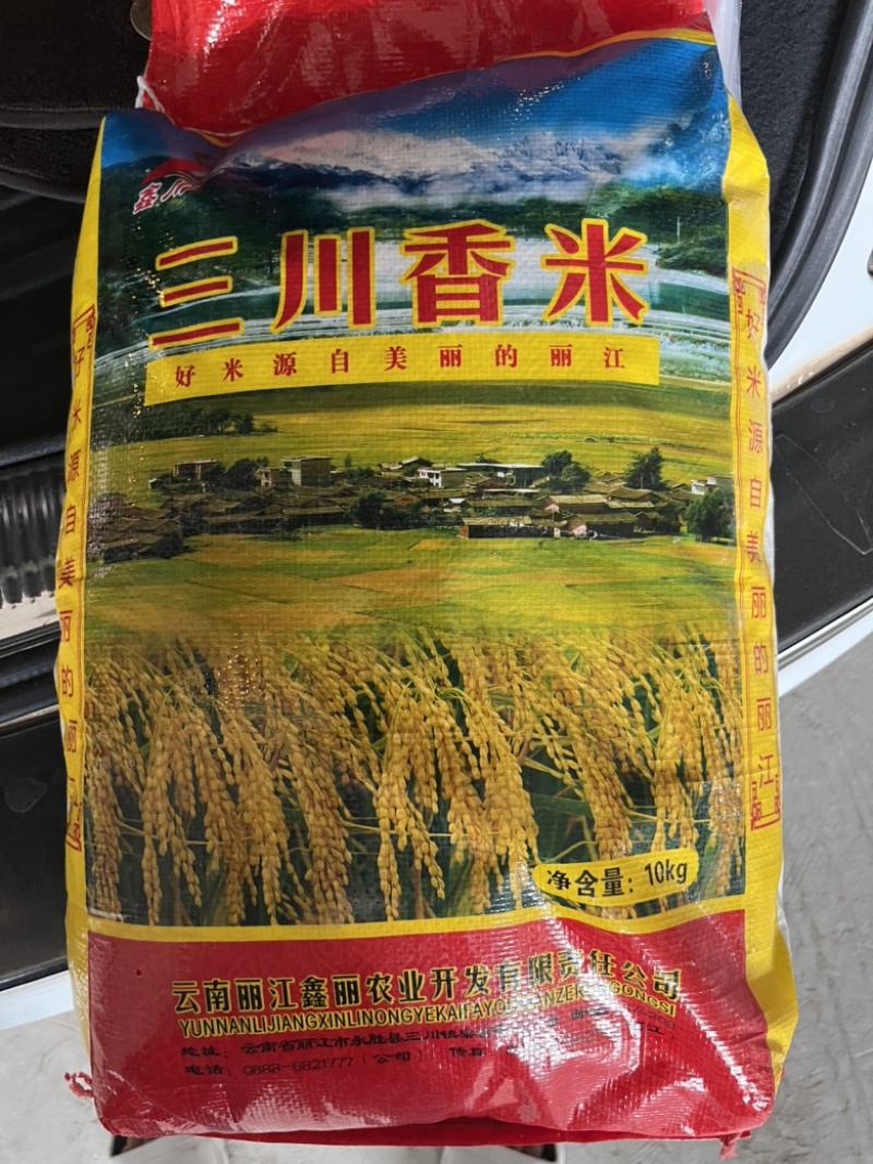 502香米