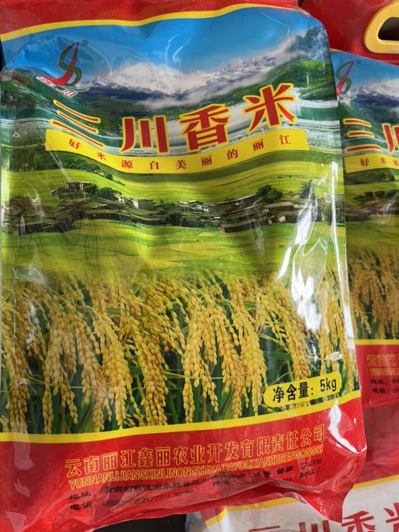 502香米