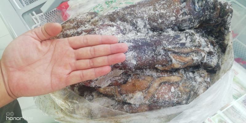新鲜速冻大红鱿鱼，不泡药，原汁原味，肥美肉厚！从源头保证