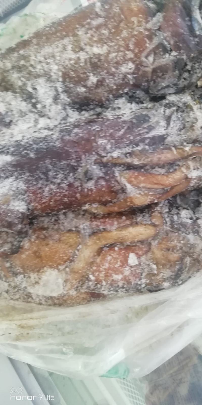 新鲜速冻大红鱿鱼，不泡药，原汁原味，肥美肉厚！从源头保证