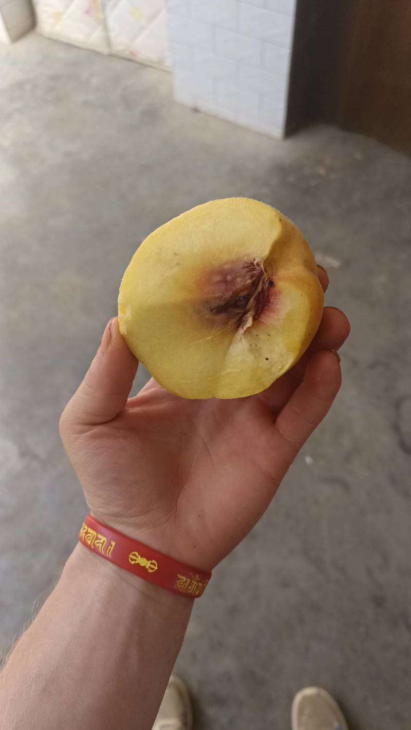 黄桃