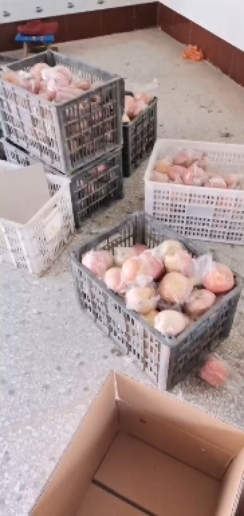 （一件代发）山西红富士80起步纸加膜冰糖心苹果/全国包邮