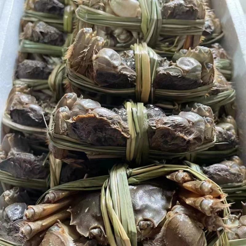 黄河口大闸蟹