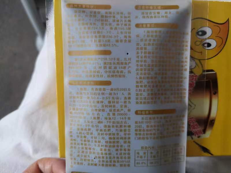 黑油菜种子油菜种子龙油99油菜种子分枝多出油率有优势