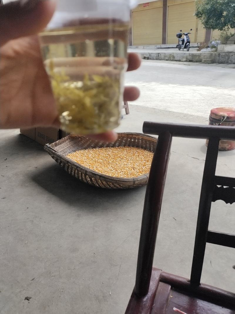 湘西霉茶