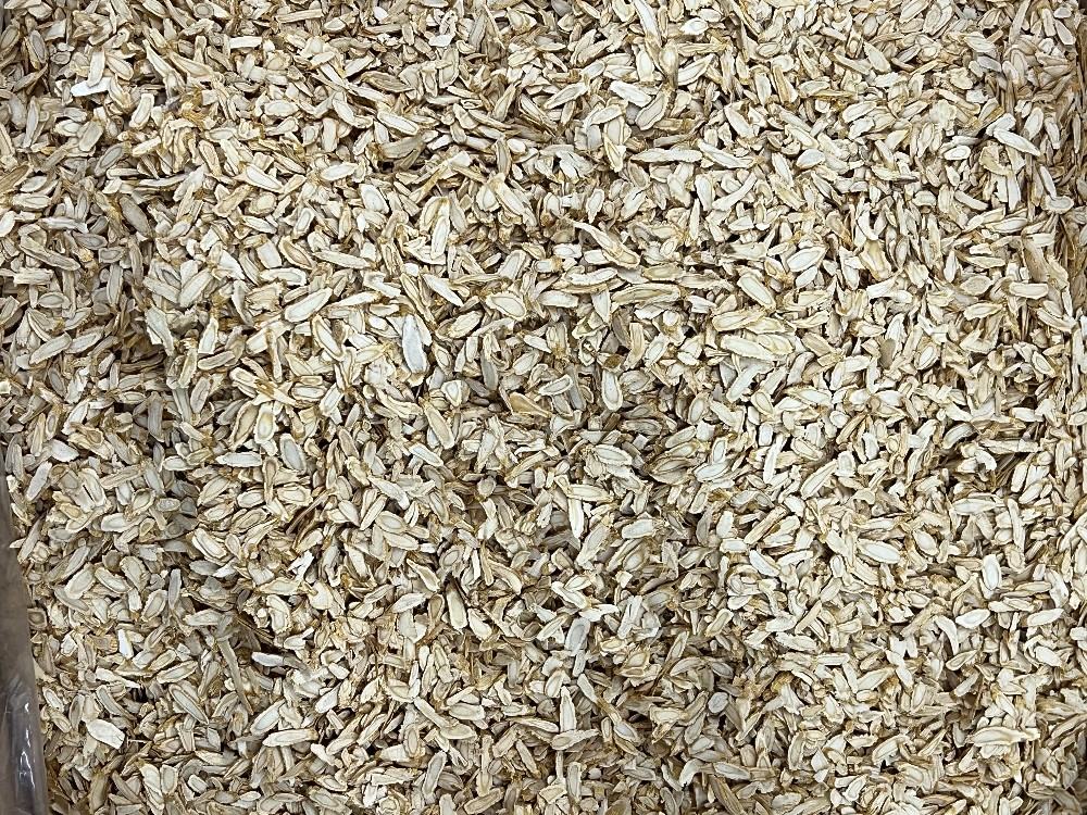 西洋参加工车间场景