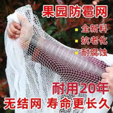 防雹网冰雹网白色全新料抗氧化苹果树葡萄果园防鸟防护网厂家