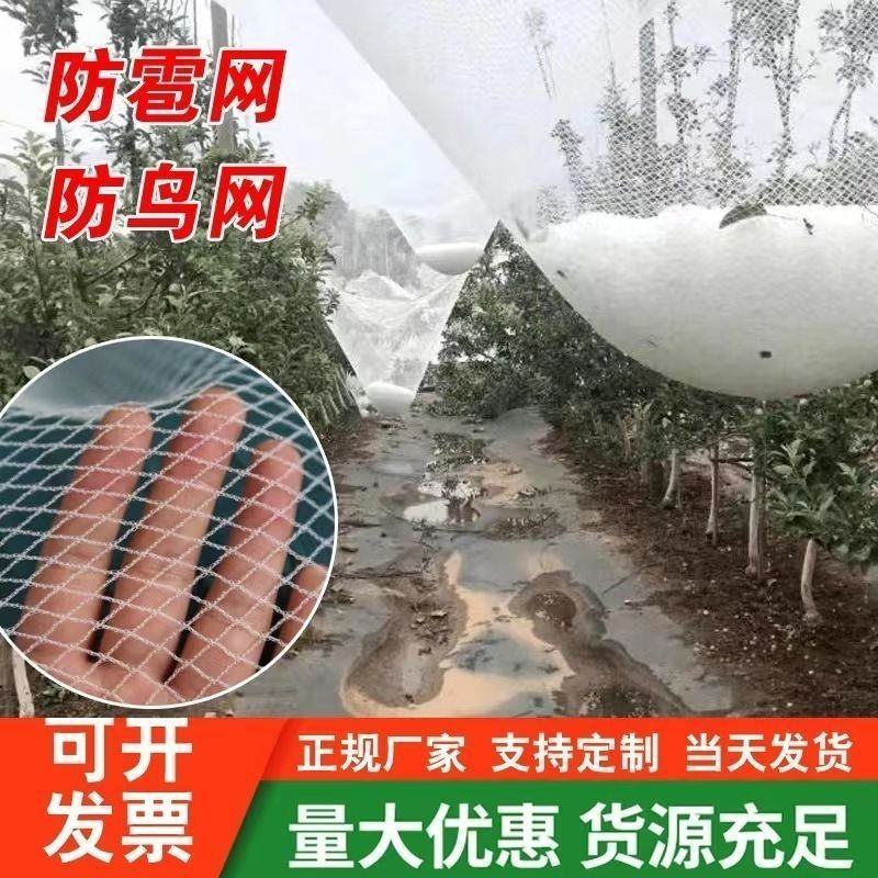 防雹网冰雹网白色全新料抗氧化苹果树葡萄果园防鸟防护网厂家