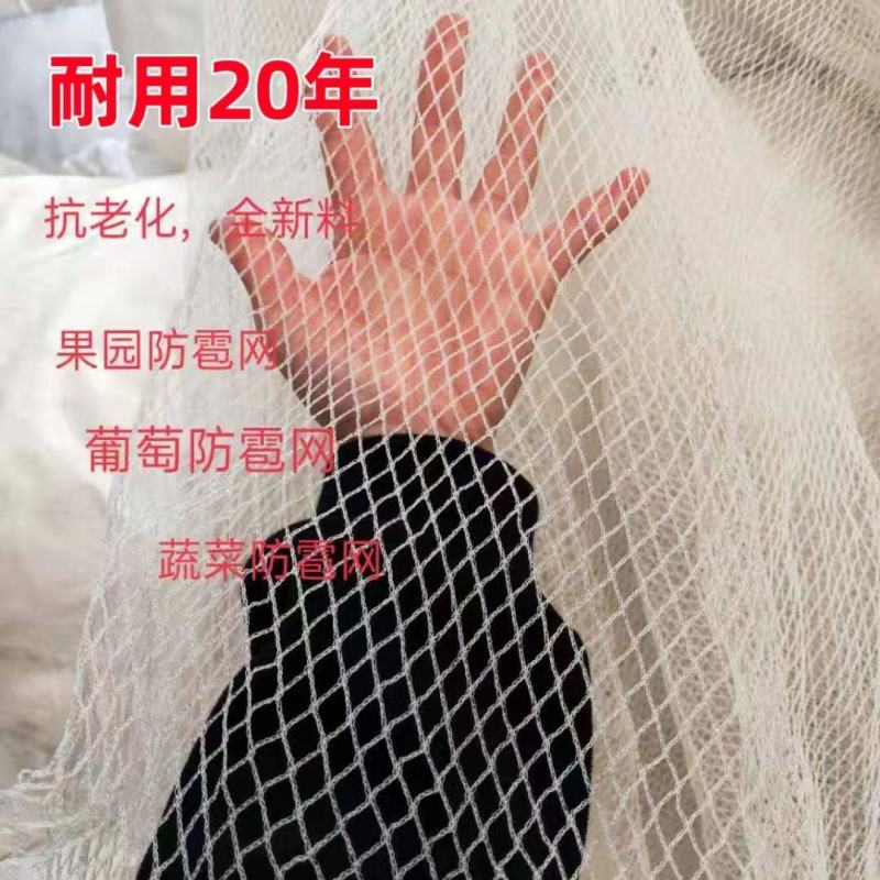 防雹网冰雹网白色全新料抗氧化苹果树葡萄果园防鸟防护网厂家