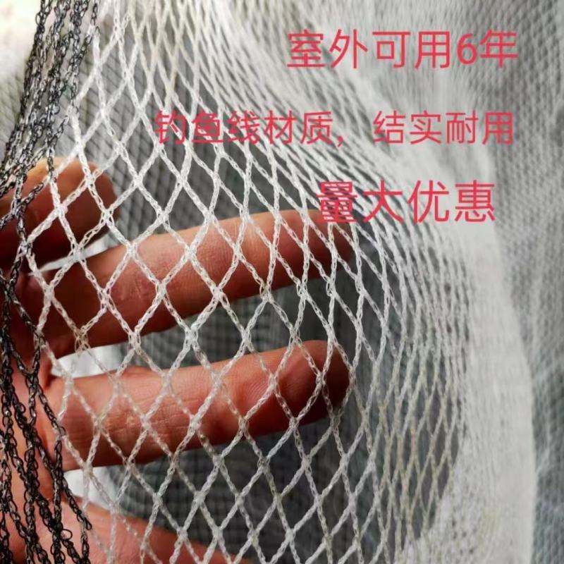 防雹网冰雹网白色全新料抗氧化苹果树葡萄果园防鸟防护网厂家