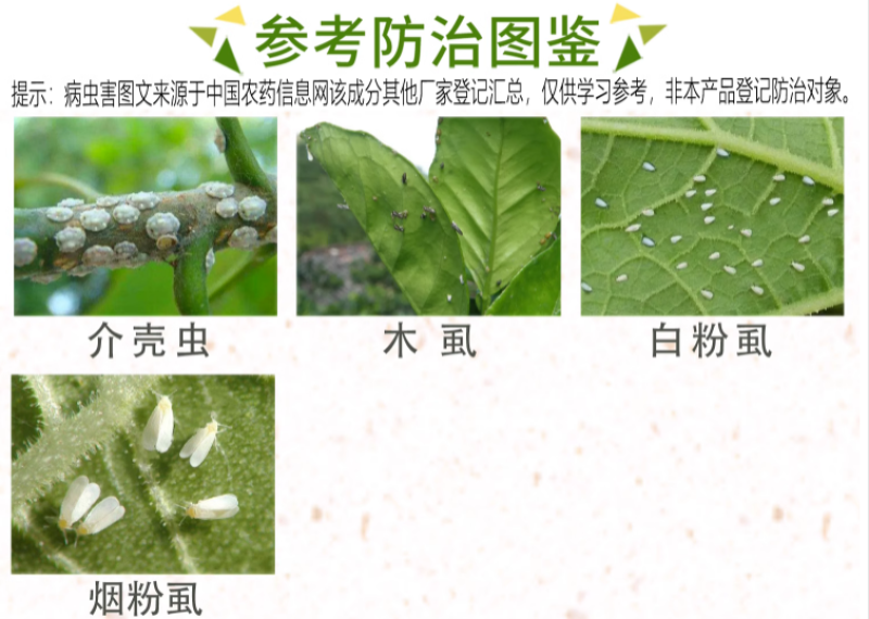 安道麦酷利25%螺虫吡丙醚白粉虱烟粉虱介壳虫杀虫剂