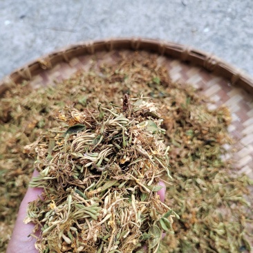 贵州安龙野生金银花生晒无硫