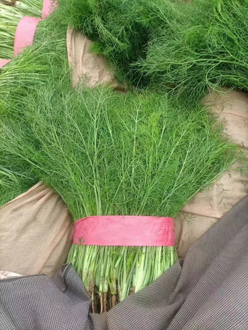 精品