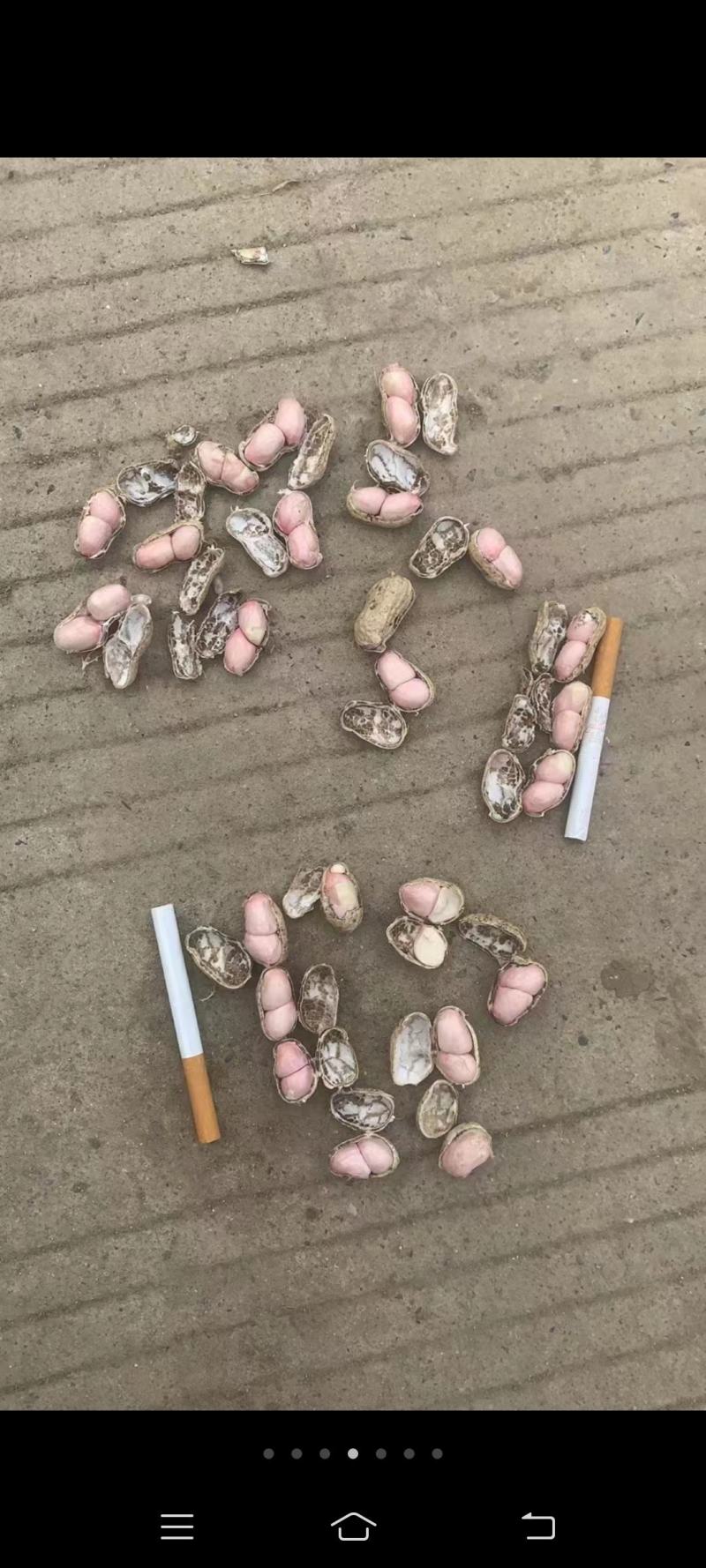 鲜花生