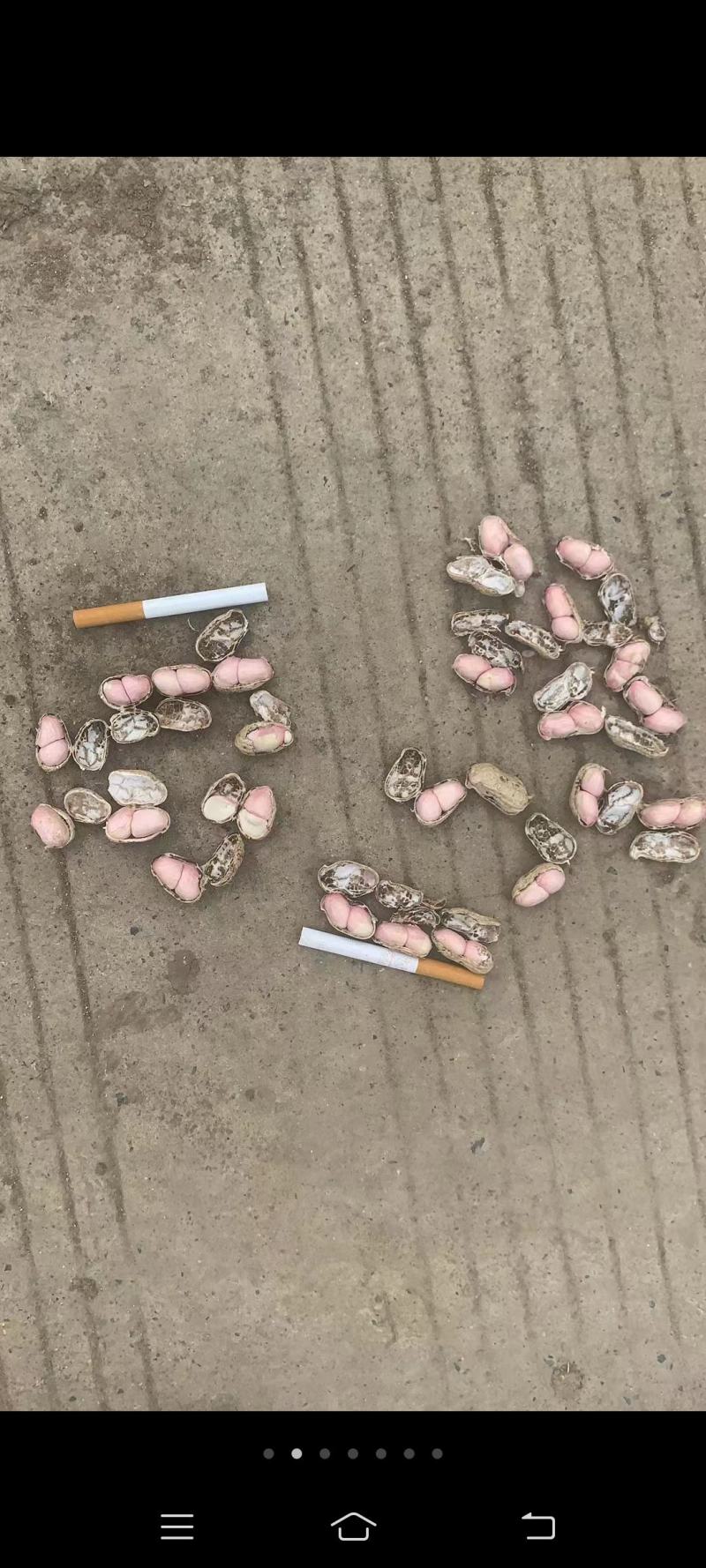 鲜花生