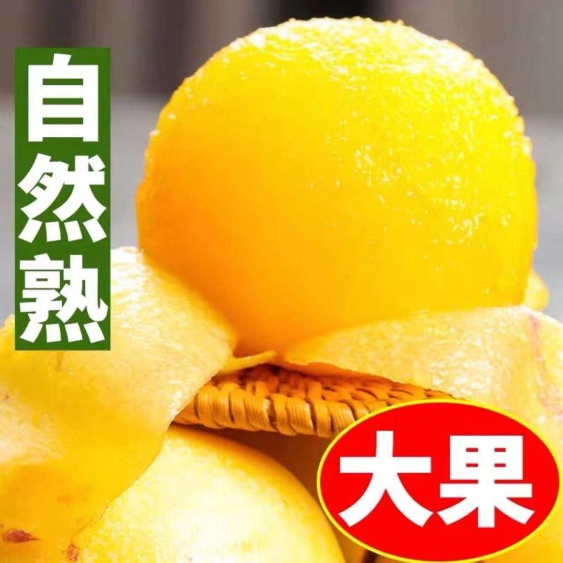 云南石林人参果产地直销
