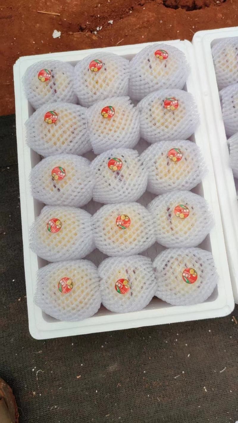 云南石林人参果产地直销