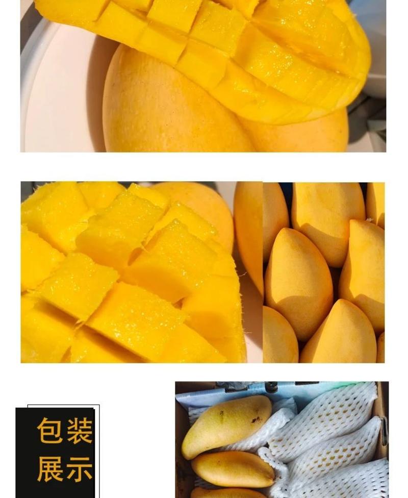 芒果，普洱景东晚熟芒果甜度口感好十斤装对接电商平台