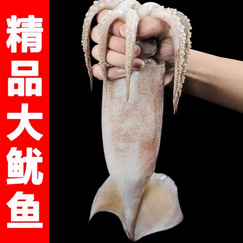 新鲜速冻大红鱿鱼，不泡药，原汁原味，肥美肉厚！从源头保证