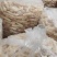 贵州特产红托竹荪大量批发代加工包装