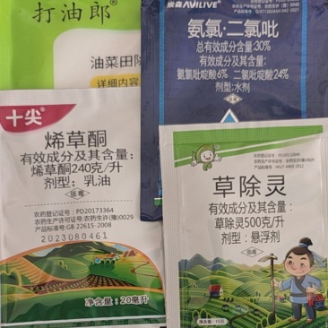打油郎烯草酮二氯吡啶酸草除灵甘蓝型油菜苗后除草剂