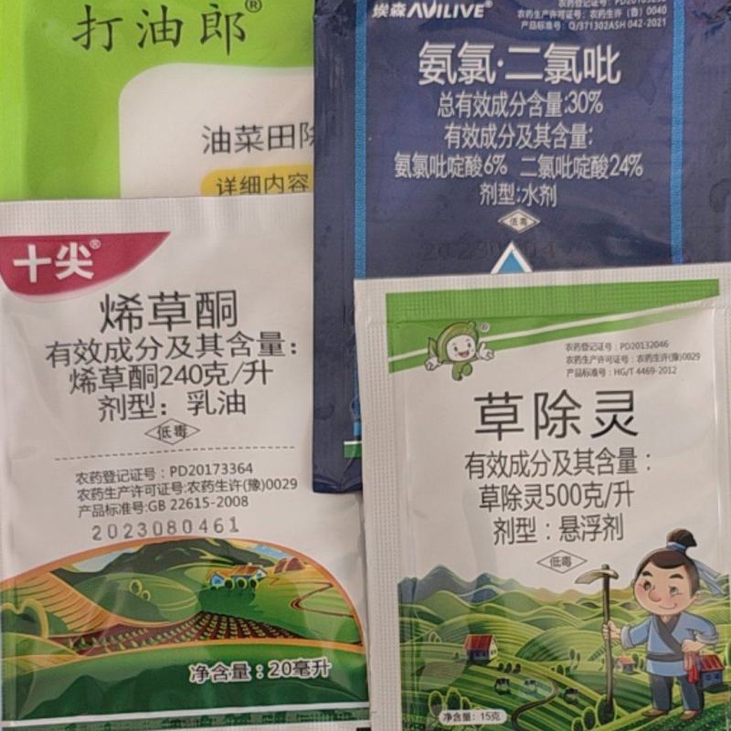 打油郎烯草酮二氯吡啶酸草除灵甘蓝型油菜苗后除草剂