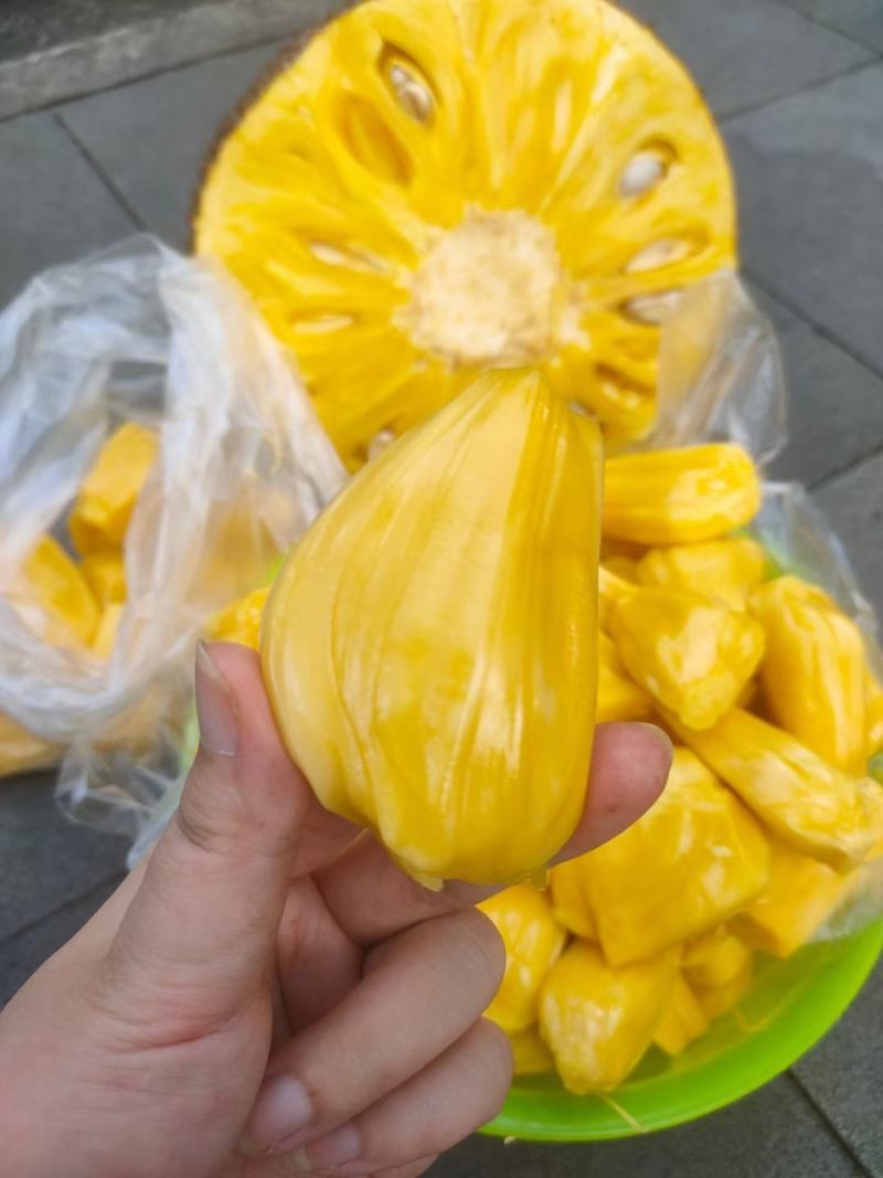 马来西亚1号菠萝蜜黄肉菠萝蜜现摘现发供应全国档口商超社团