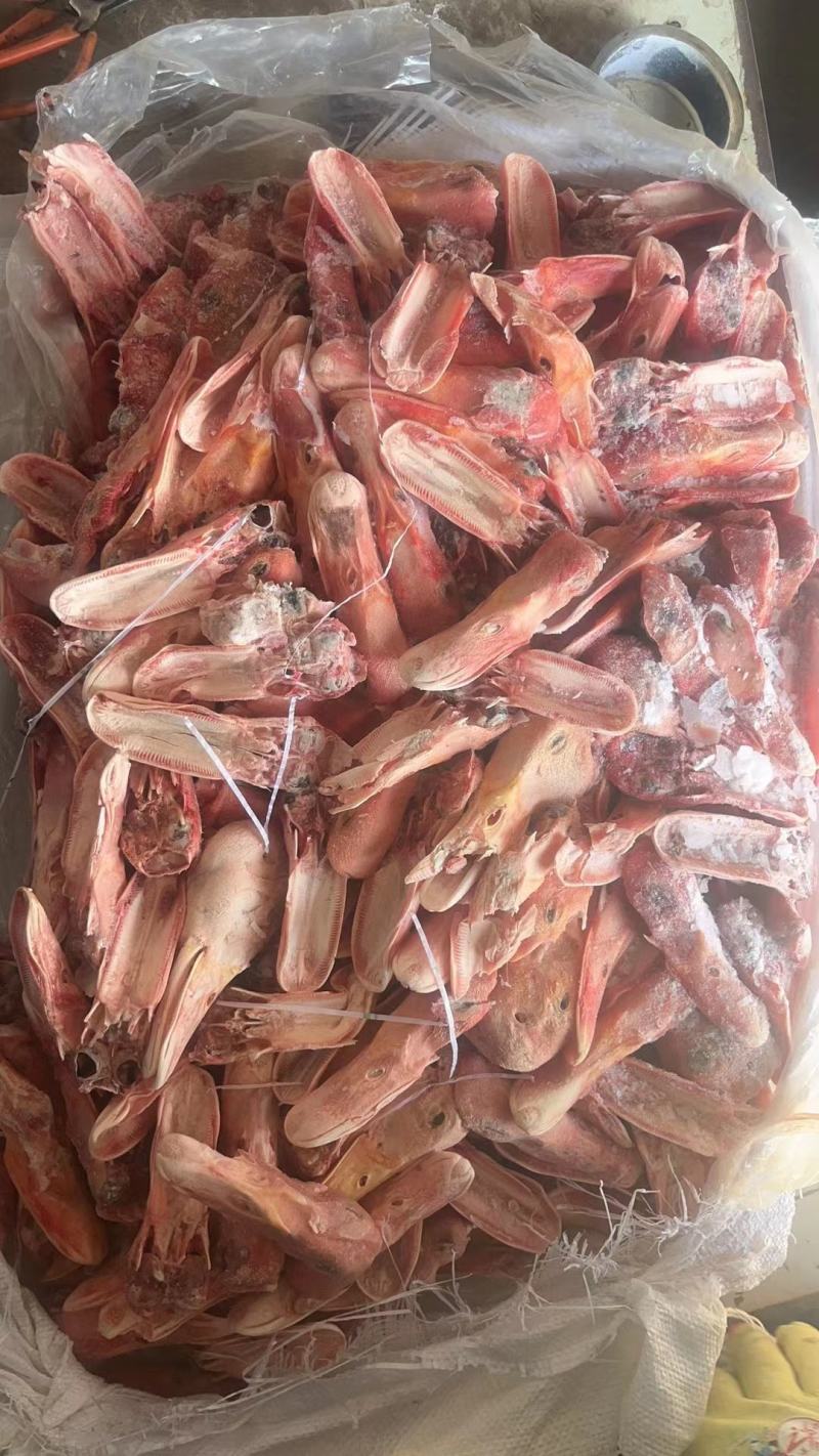 带唇皮鸭上颚